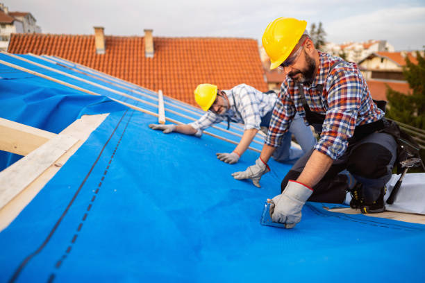 Best Storm Damage Roof Repair  in Grove City, PA